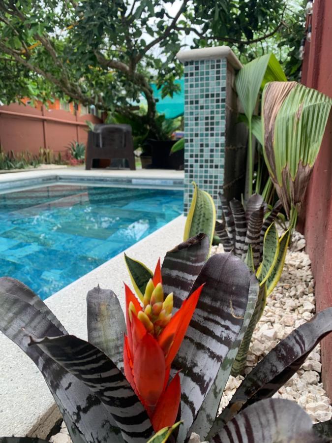 Villa Jade, La Fortuna Downtown Esterno foto